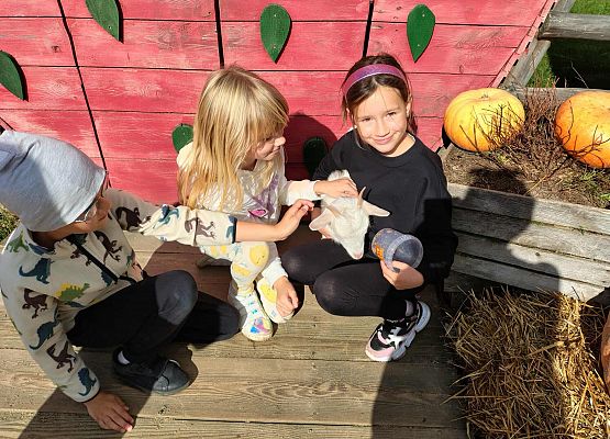 Grafika 28: Wycieczka na Farmę Alexa w Charbrowie koło Łeby