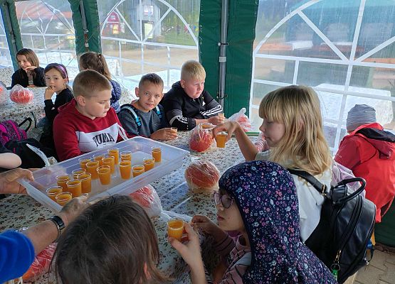 Grafika 19: Wycieczka na Farmę Alexa w Charbrowie koło Łeby