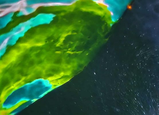 Grafika 6: Kino Sferyczne