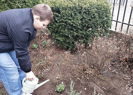 Grafika 1: Moc współpracy zakwitła przed szkołą