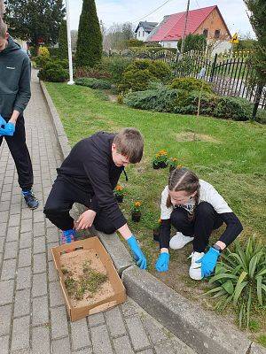 Grafika 1: Akcja " Odpad zdasz, drzewko masz!"