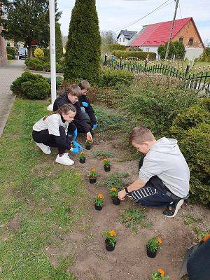 Grafika 4: Akcja " Odpad zdasz, drzewko masz!"